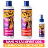Mane 'n Tail Spirit Untamed Shampoo, Conditioner & Detangler Set  Caramel Apple Scented, Gentle Coconut Oil Formula for Kids, Soft, Silky Hair (Shampoo & Conditioner 11.02 oz Each, Detangler 3.4 oz) view 3