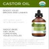 velona USDA Certified Organic Castor Oil - 4 fl oz (With Dropper) | For Hair, Boost Eyelashes, Eyebrows | Cold pressed, Natural Oil USP Grade | Hexane Free view 2