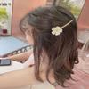2PCS Women Lady Rhinestone Flower Hair Clips Hairpin Side Clip Bobby Pin Hair Accessories view 2