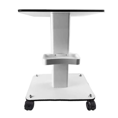Beauty Salon Trolley Stand,Rolling Trolley Cart Salon Storage Equipment Machine Organizer Stand for Beauty Machines Maxload 40kg