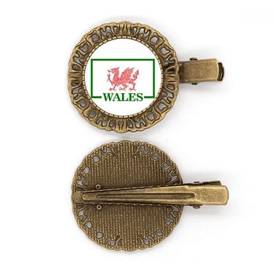 Dragon Flag Welsh Box Art Deco Gift Fashion Hairpin Headdress Brooch Hair Clip Barrette