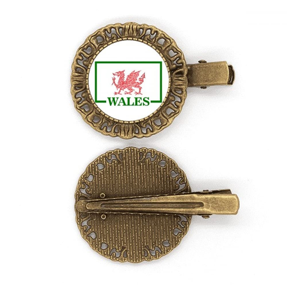 Dragon Flag Welsh Box Art Deco Gift Fashion Hairpin Headdress Brooch Hair Clip Barrette