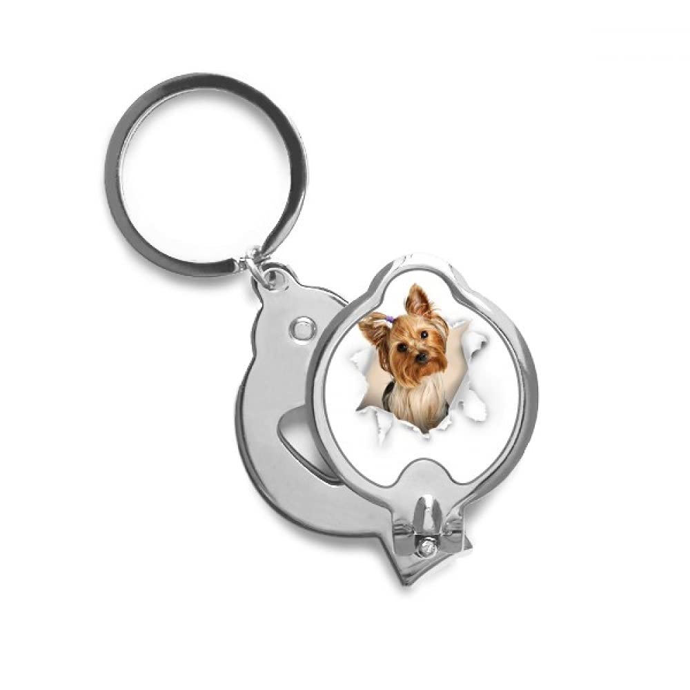 Animal Paper Break Shocks Chihuahua Finger Nail Clippers Scissor Stainless Steel Cutter