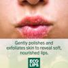 Eco Lips Vanilla Bean Lip Sugar Scrub & Blackberry Intensive Overnight Lip Repair Mask Duo - 100% Organic Lip Care Treatment - Gently Exfoliate, Polish, & Repair Dry, Flaky Lips view 3