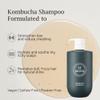 BRITISH M Kombucha Shampoo 25.36 fl. oz  Scalp Detox, Hydrate & Strengthen, Promote Hair Growth, Paraben & Sulfate-Free, Vegan Formula for All Hair Types view 3