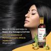 Fantraa Moroccan Argan Hair Oil with Olive and Jojoba oil For Dry, Damage, Dull and Rough Hair Oil (200 ml) view 2