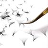1000 Premade volume fans Mixed lengths 9-16mm loose Fans C, D Curl. Handmade eyelash extensions supplies Russian volume lash Wispy promade fan 4D 5D 6D 7D 8D 9D 10D (6D 0.07 - Curl C) view 3