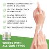 Activelife - Urea Cream 40 Percent for Feet, Formulated by Doctors, Foot Cream for Dry Cracked Heels, Foot Callus Remover, Rehydrates Dry, Rough, Dead Skin on the Feet, Hands, and Elbows, Free Pumice view 4