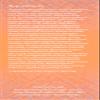 haia "I am Powerful" - Kakadu Plum Antiox-C Serum view 3