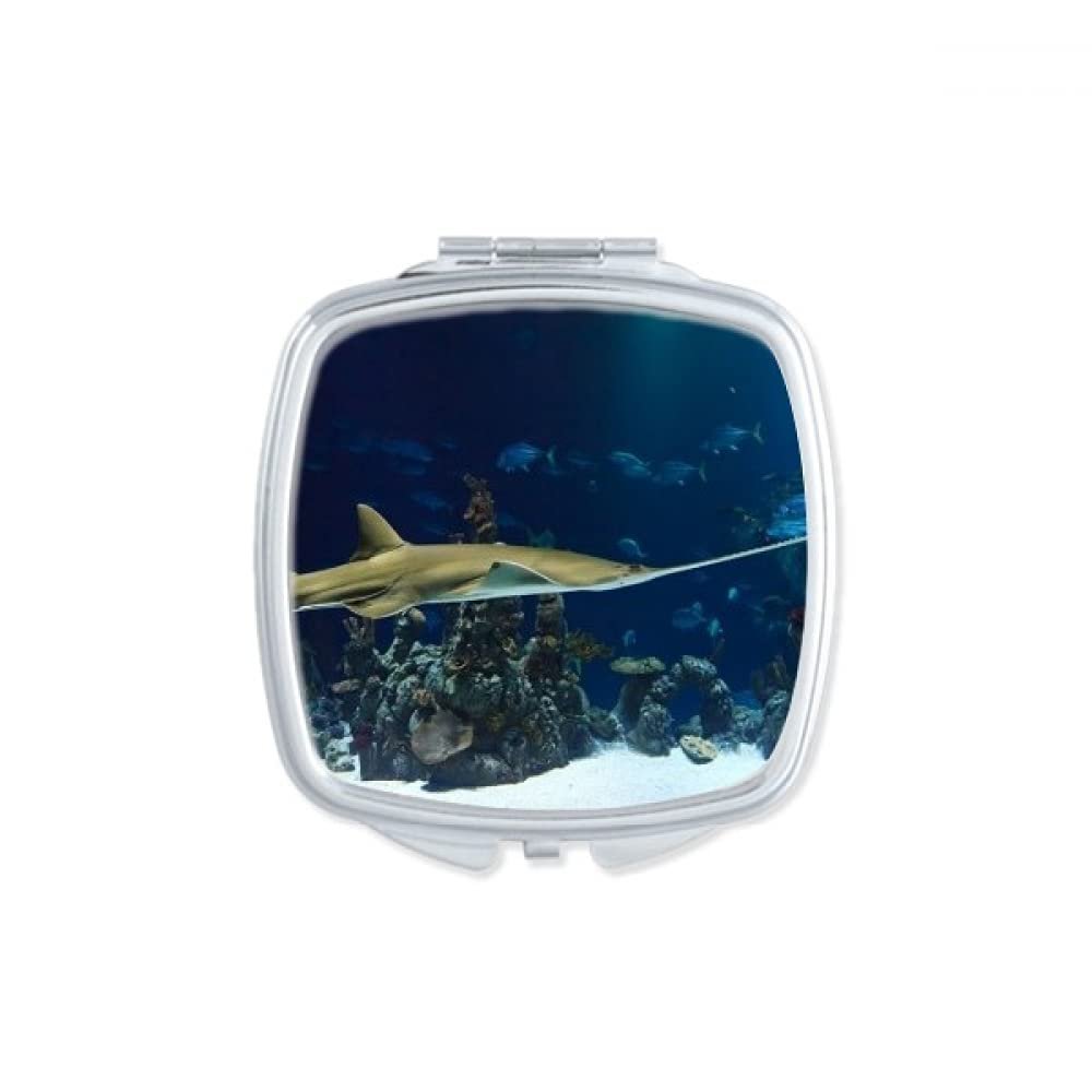 Ocean Ray Skate Science Nature Picture Mirror Portable Compact Pocket Makeup Double Sided Glass