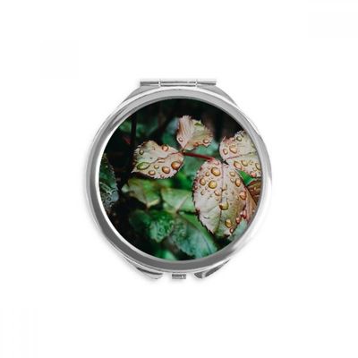 Dewdrop Nature Picture Hand Compact Mirror Round Portable Pocket Glass