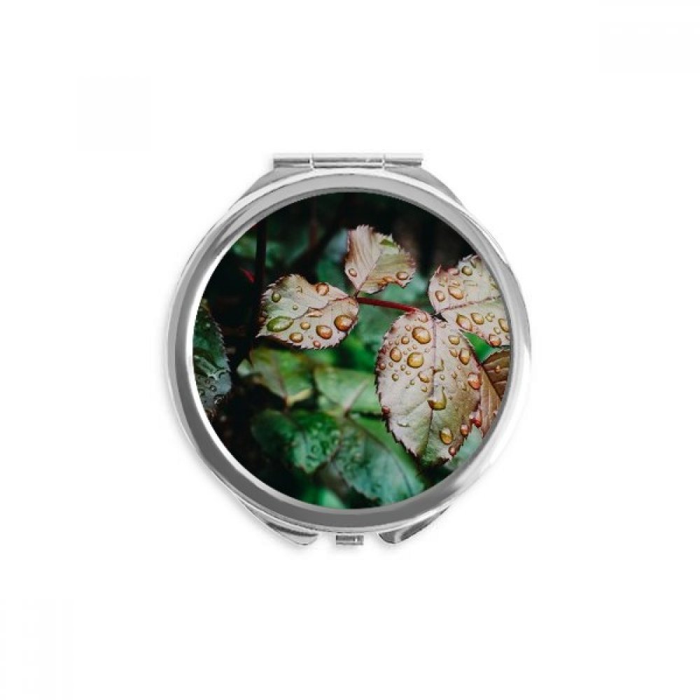 Dewdrop Nature Picture Hand Compact Mirror Round Portable Pocket Glass
