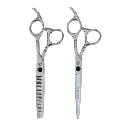 6.0 Inch Hairdressing Scissors Professional Hair Cutting Scissors Set Comb Razor Barber Accessories Japanese Shears For Hairdresser Hair Clipper Salon Hair Clips Barber Shop