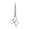 5.5 Inch Professional Hairdressing Scissors Hair Scissors Barber Accessories Hairdressing Tools Salon Hair Clipper For Hairdresser Barber Shop Shears Straight Scissor view 1