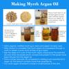 BIBLE N Beautyoils Queen Esther Myrrh Beauty Face Oil, Myrrh-Infused Skincare Essential Oils, Rosehip, Argan, Seabuckthorn, Pomegranate Seed Face Oil for Radiant Skin, 1.0 Fl Oz (Natural Nutty) view 3