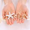CASDRE Starfish Bride Wedding Hair Vine Pearl Bridal Headpiece Beach Wedding Hair Accessories for Women and Girls(C Gold) view 4