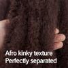 ToyoTress Marley Hair Crochet Braids - 16 Inch 6 Packs 99J Burgundy, Afro Kinky Curly Marley Twist Braids Synthetic Twist Crochet Braiding Hair Extensions(16 Inch, 99J-6P) view 4