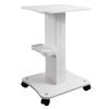 Kalolary Beauty Salon Trolley Cart, Aluminum Alloy Salon Spa Rolling Trolley Stand Mobile Cart with Wheel Beauty Instrument Storage Tray