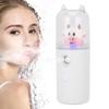 30ml Handy Mist Spray, for Steamer, USB Rechargeable Handheld Mist Sprayer, Face Moisturizing Hydrating Mist Sprayer view 1