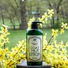 Bates Family Farm Goat Milk and Shea Butter Lotion 8 Oz (Berries N Cream) view 3