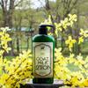 Bates Family Farm Goat Milk and Shea Butter Lotion 8 Oz (Green Apple) view 3