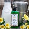 Bates Family Farm Goat Milk and Shea Butter Lotion 8 Oz (Oranges N Honey) view 2