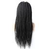 12.5X4.75" Swiss Lace Front Afro Box Braided Wigs for Women Natural Looking Twist Micro Box Braids Wig with Baby Hair Premium Quality Synthetic Long Lightweight Hair Wig 31" 1B# Black view 3