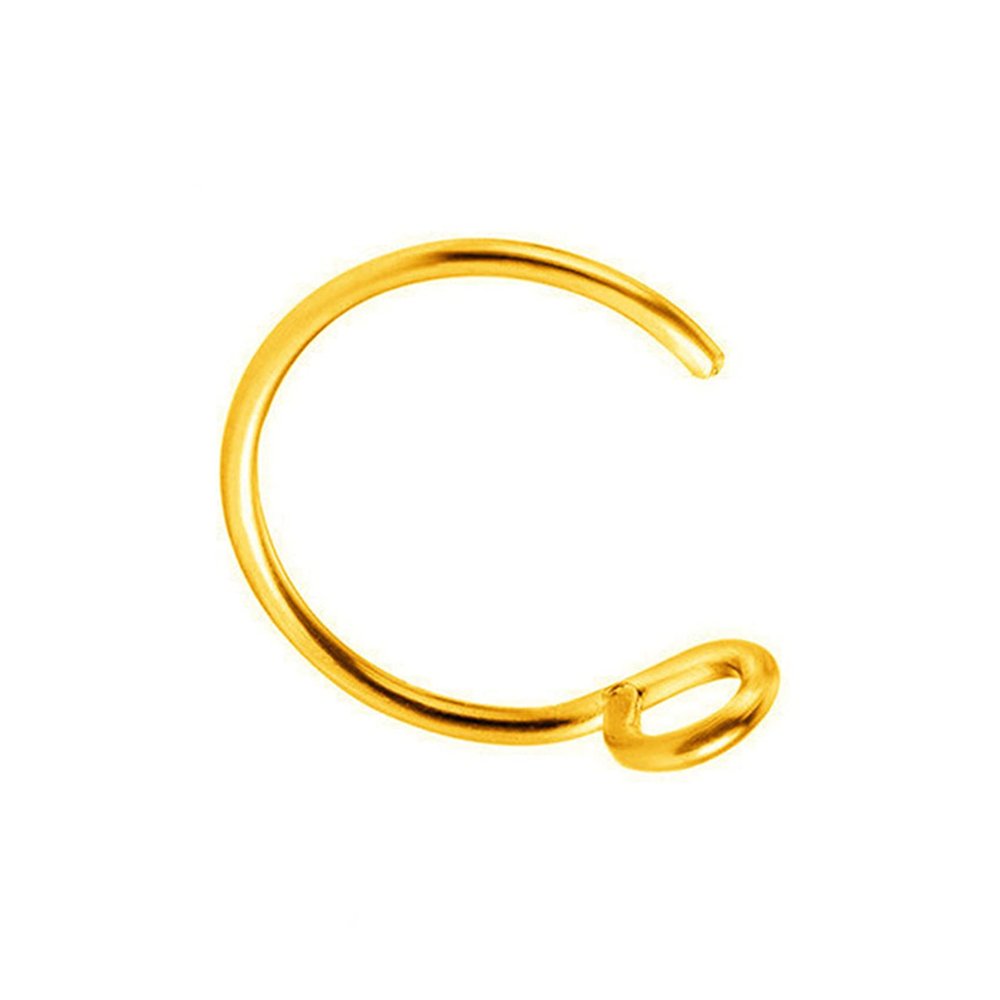 LALANG Lip Stud Earring Fake Nose Ring Reusable Fish Hook Lip Ring Non-Piercing Nose Ring Nose Nail Lip Clip Lip Nail (Golden)