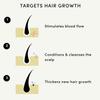 Forest & Shore Hair Growth Oil, 100% Natural, with Caffeine, Biotin, Castor , Argan & Rosemary, Effective Serum for Damaged Hair view 3
