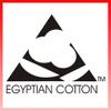 600 Thread Count 100% Egyptian Cotton 3-Piece Massage Table Spa Sheet Set (Moss Solid) view 4
