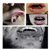 Heienngy 16G Piercing Needles Surgical Stainless Steel Body Jewelry Kit - Lip, Eyebrow, Septum & Nose Rings view 2