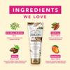 Jergens Sandalwood Body Butter Lotion, Moisturizer Infused with Sandalwood Essential Oil, For All Skin Types, 7 Oz view 4