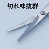 Kinugawa Company W-25 Scissors, Women's, Nose Hair, Unwanted Hair, Eyebrows, Small, Sharpness, Made in Japan, Round Blade Edge, Safety view 3
