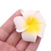 12Pcs White Hawaiian Plumeria Flower Hair Clip Foam Flower Hawaii Hair Clips Hair Pins Artificial Plumeria Hair Clips Hair Accessory Decorations for Beach Bridal Wedding Party Vacation(2.4 Inch) view 2