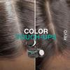 REVO Dark Brown Root Touch Up Powder - Hairline Shadow & Bald Spot Filler - Instant Gray Coverage Hair Concealer for Men & Women - Sweat-Proof Scalp Powder with Sponge Applicator (Non-Sticky) view 2