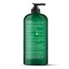 Botanic Hearth Eucalyptus & Tea Tree Body Wash  Refreshing & Invigorating Shower Gel for Men & Women, Helps Soothe Skin, Sulfate & Paraben Free  16 fl oz view 2