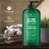 Botanic Hearth Eucalyptus & Tea Tree Body Wash  Refreshing & Invigorating Shower Gel for Men & Women, Helps Soothe Skin, Sulfate & Paraben Free  16 fl oz view 4