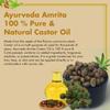 Ayurveda Amrita Pure & Natural Castor Oil For Hair, Eyebrow and Beard 100 ml view 2