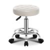 QPZK Adjustable Height Swivel Stool Round Rolling Stool with Wheels and Wider Round Seat, Office Stool Drafting Shop Stools Chair for Medical Salon SPA Esthetician Studi White view 1