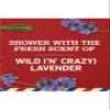 Old Spice 2 in 1 Shampoo and Conditioner, Relax with Lavender Scent, 21.9 Ounce Pump Bottle (Pack of 2) view 2