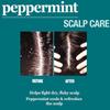 Hair Chemist Soothing Scalp Care Peppermint Hair Oil 7.1 oz. view 4