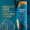 Head & Shoulders Anti-Dandruff Shampoo, Royal Oils Moisturizing Shampoo, 1% Pyrithione Zinc, Curly & Coily Hair, Coconut, Apple Cider Vinegar, Sulfate-Free, 12.8 fl oz view 2