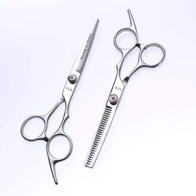Hair Cutting Scissors, 6 Inch Scissors Professional Stainless Steel Hair Scissors Salon Cutting and Thinning Hairdressing Shears Blade Styling Tools BY ZZYY (Color : 1 set)