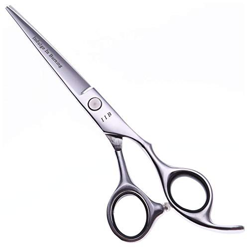 Hair Cutting Scissors, 6 Inch Professional Stainless Steel Hair Scissors Salon Cutting/Thinning Hairdressing Shears Regular Blade Styling Tools BY ZZYY (Color : Cutting scissors)
