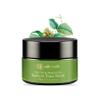 Ashpveda Fruit Face Scrub (Date and Walnut) Face Scrub for Deep Exfoliation | Helpful for Dead Skin, Smooth and Clear Complexation and Tan Removal | Hydrating & Exfoliating For Women and Men (50gm) view 1
