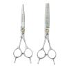 6.0 inch Hair Cutting Scissors Kit Bearing Screw Hair Shears Professional Hairdressing Scissors Set Symmetrical Handle Razor Comb Barber Accessories Thinning Clippers view 1