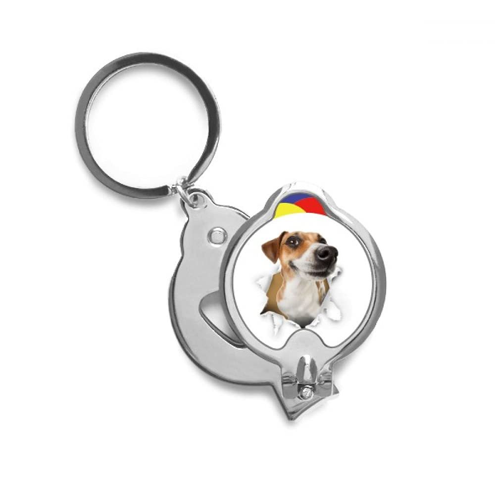 Animal Paper Breaking Shock Pride Nail Clippers Sharp Fingernail Stainless Steel Cutter