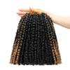 14 Inches 8 Packs Passion Twist Crochet Hair-Mixed Color Combo Pack(6 packs 1B+2 packs T1B/27),Pre-twisted Pre Looped Super Soft & Bouncy Synthetic Hair Extensions For Black Women(14"-8 Packs,1B+T27) view 1