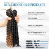 14 Inches 8 Packs Passion Twist Crochet Hair-Mixed Color Combo Pack(6 packs 1B+2 packs T1B/27),Pre-twisted Pre Looped Super Soft & Bouncy Synthetic Hair Extensions For Black Women(14"-8 Packs,1B+T27) view 2