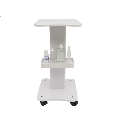 Beauty Salon Trolley Cart, ABS Salon Cart Tray Mobile Storage Cart with Wheels for Beauty Salon Instrument, LxW: 15x19inch, Recommend Load< 30kg